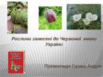 Рослини занесені до Червоної книги України