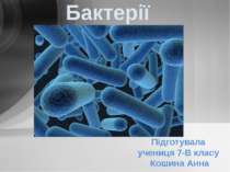Бактерії - 2