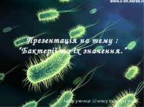 Бактерії та їх значення