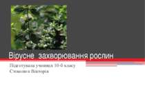 Вірусне захворювання рослин