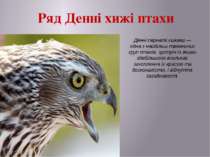 Ряд Денні хижі птахи