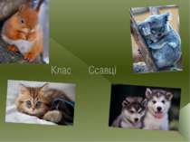 Клас Сcавці