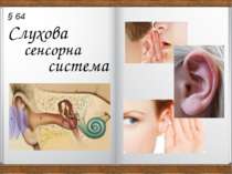 Слухова сенсорна система