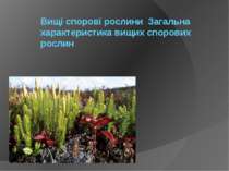 Вищі спорові рослини