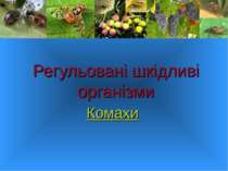 Регульовані шкідливі організми. Клас комахи