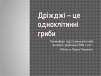 Дріжджі - одноклітинні гриби