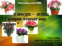 Розпізнавання видів кімнатних рослин
