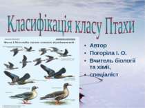 Класифікація класу Птахи