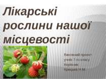 Лікарські рослини нашої місцевості