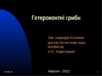 Гетероконтні гриби