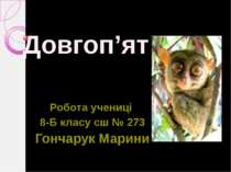 Довгоп’ят