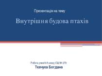 Внутрішня будова птахів