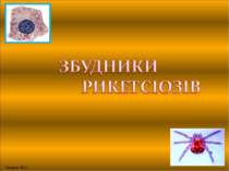 Збудники рикетсіозів