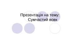 Сумчастий вовк